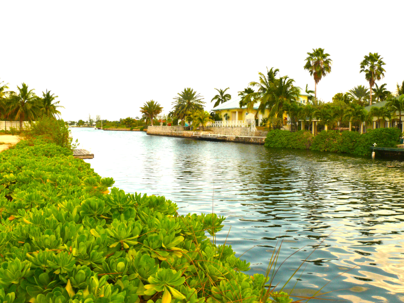 GRAND CAYMAN’s Property
