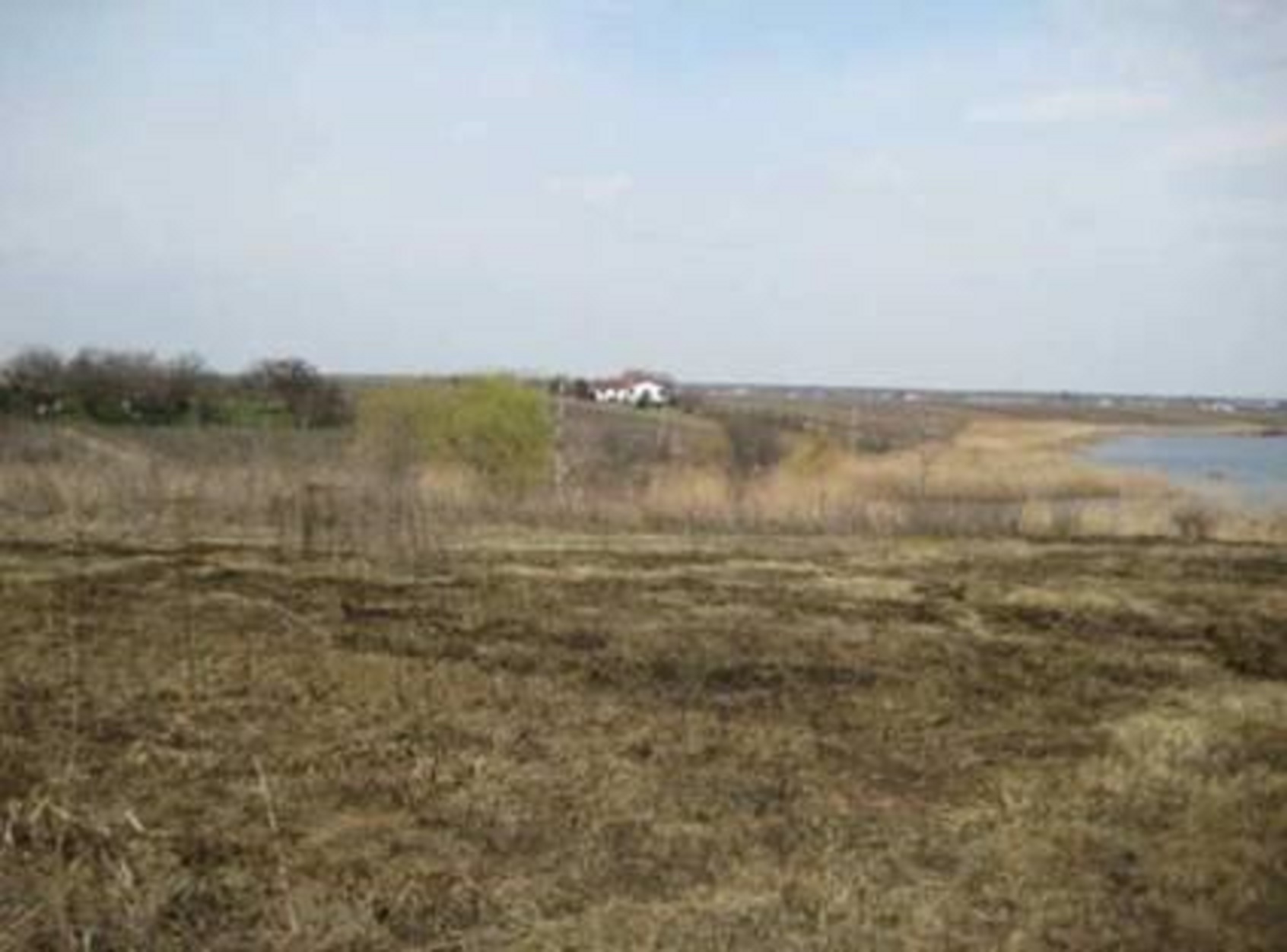 Picture3-4 LAND 59,683 sq m Tancabesti, Snagov ILFOV