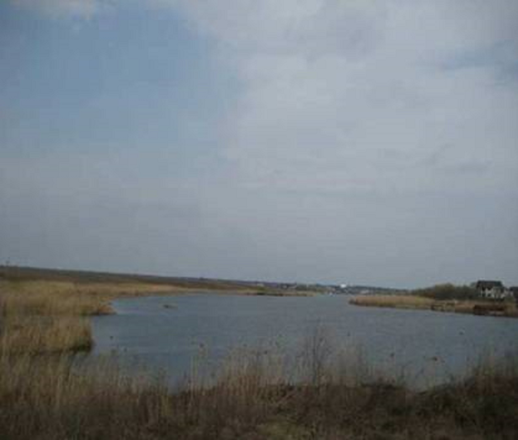 Picture5-2 LAND 59,683 sq m Tancabesti, Snagov ILFOV
