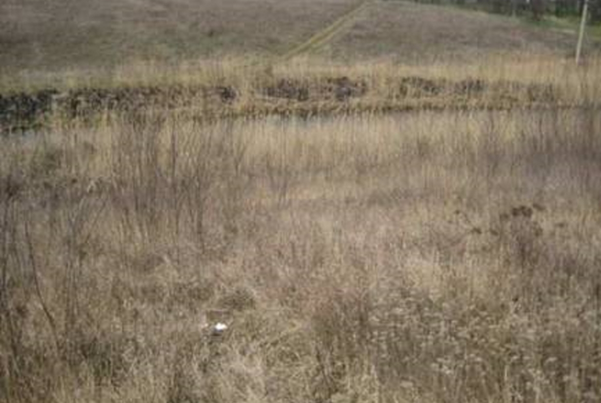 LAND 59,683 sq m Tancabesti, Snagov ILFOV