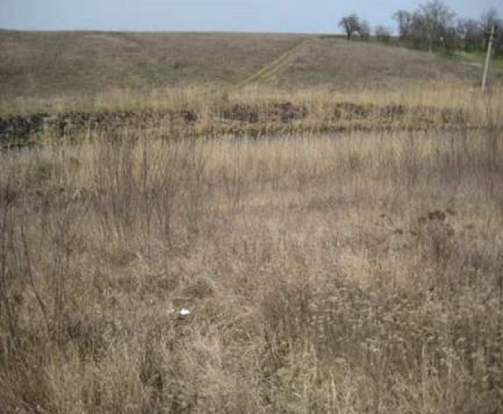 Picture6-2 LAND 59,683 sq m Tancabesti, Snagov ILFOV