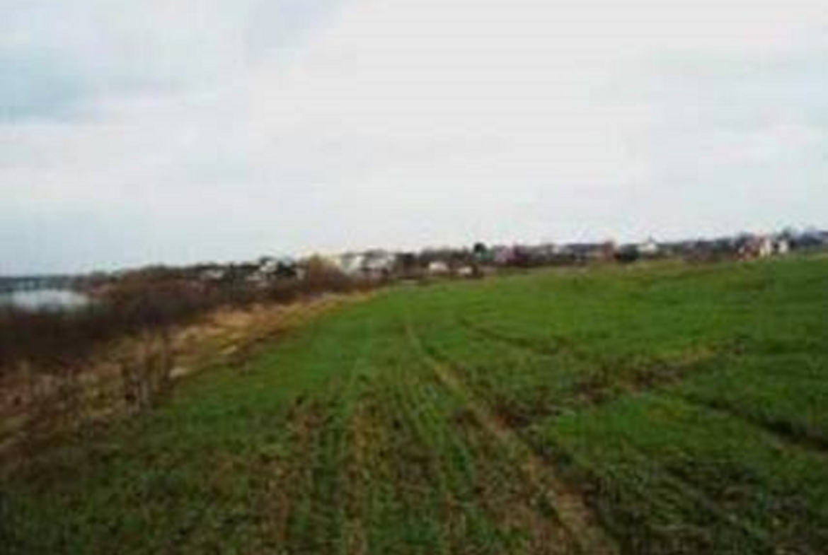 LAND 59,683 sq m Tancabesti, Snagov ILFOV