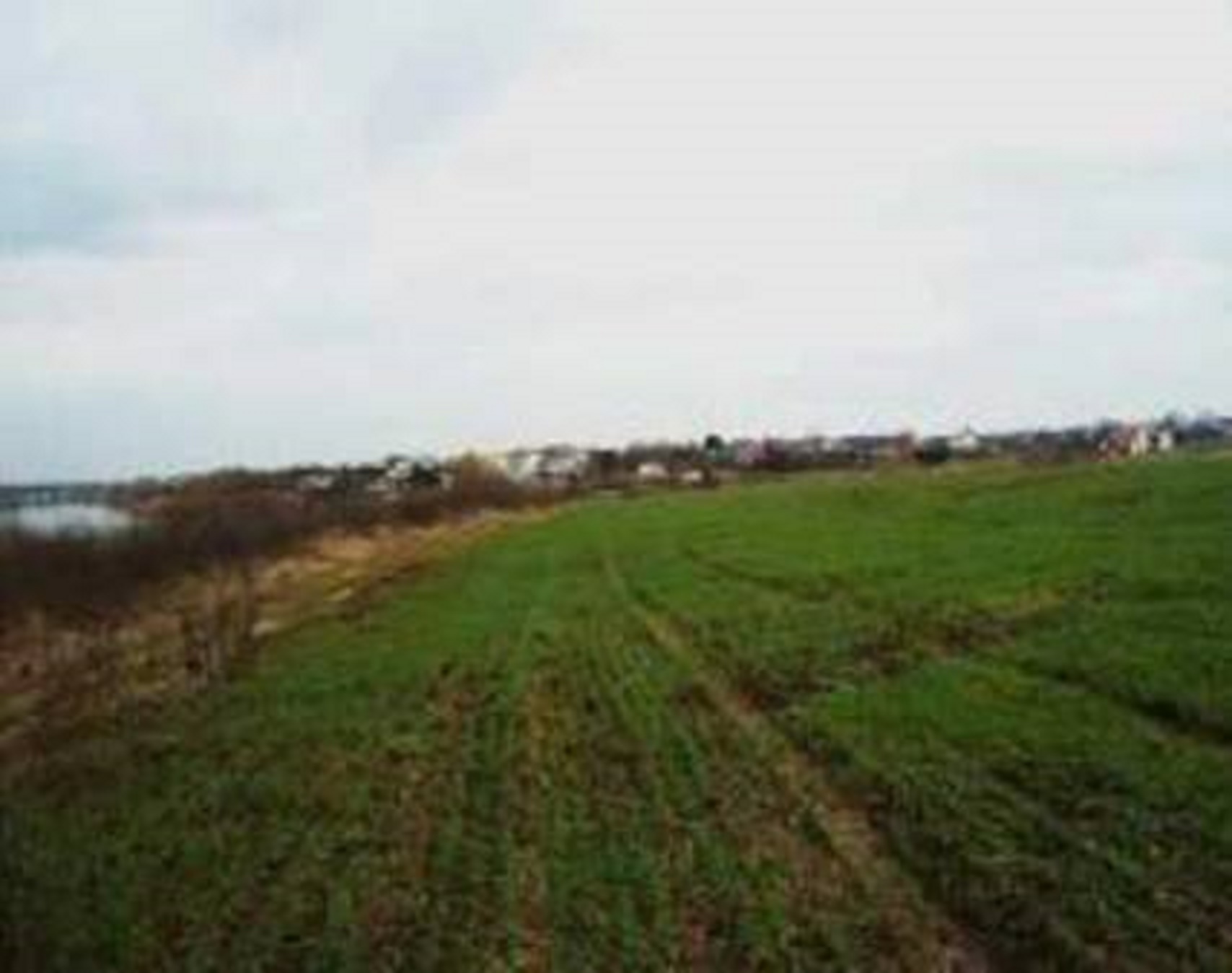 Picture7-2 LAND 59,683 sq m Tancabesti, Snagov ILFOV