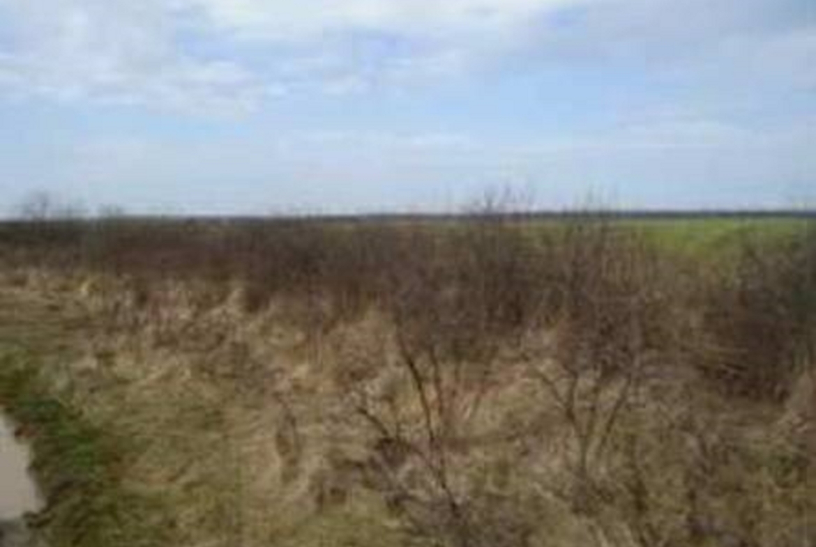 LAND 59,683 sq m Tancabesti, Snagov ILFOV