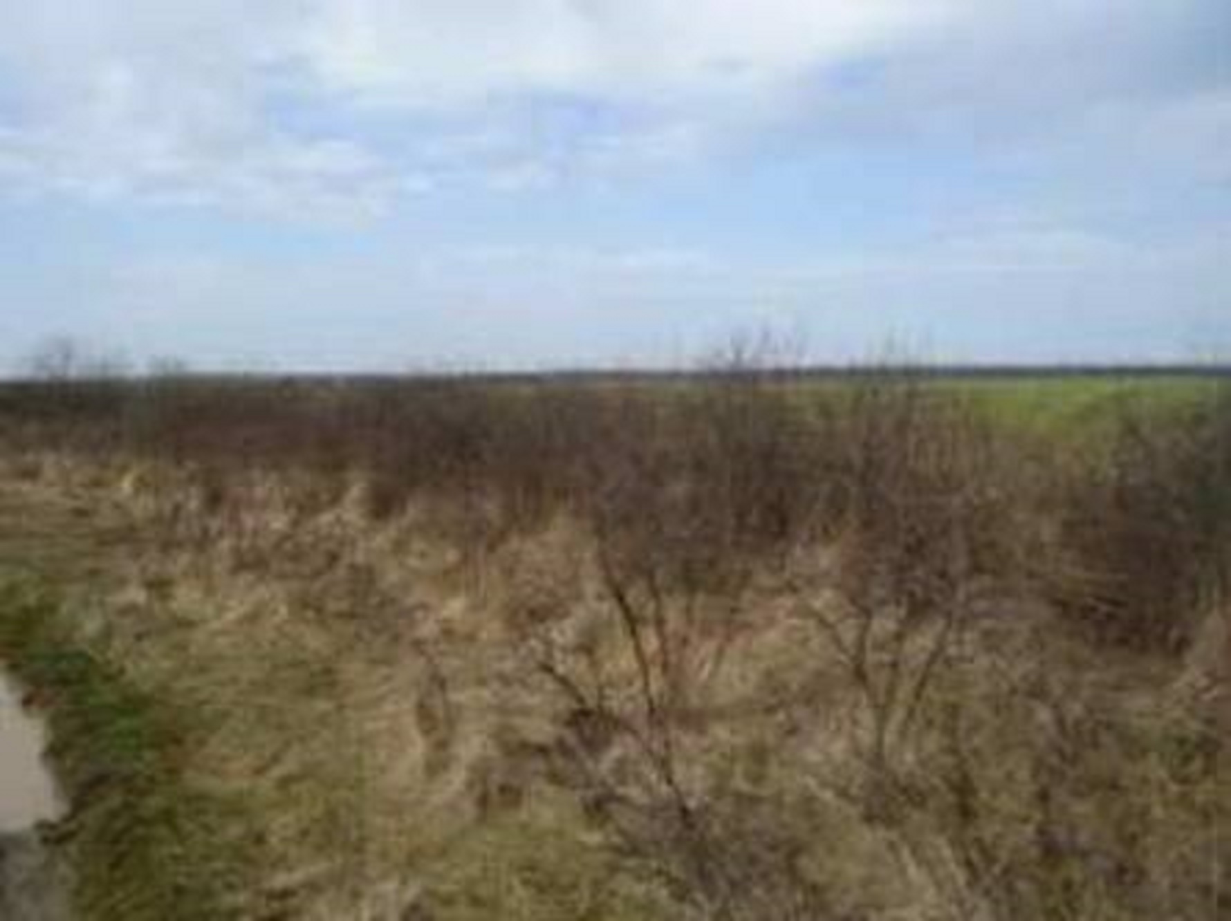 Picture8-2-1 LAND 59,683 sq m Tancabesti, Snagov ILFOV