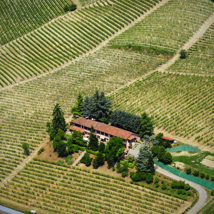 A winery in the province of Piedmont.