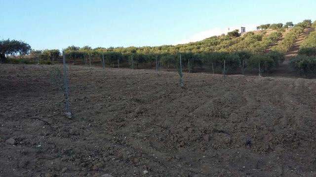 Panoramic Seaside Land in Sicily – Ferraro Bovo Marina
