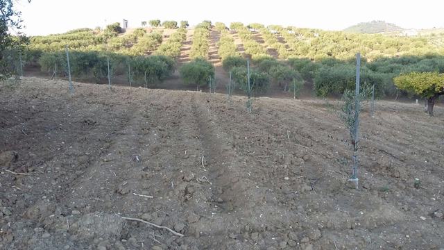 Panoramic Seaside Land in Sicily – Ferraro Bovo Marina