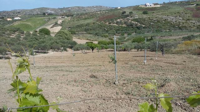 Panoramic Seaside Land in Sicily – Ferraro Bovo Marina