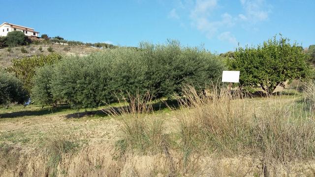 Panoramic Seaside Land in Sicily – Ferraro Bovo Marina