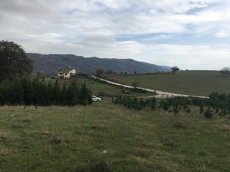 Farm land with House in Yalova/Turkey