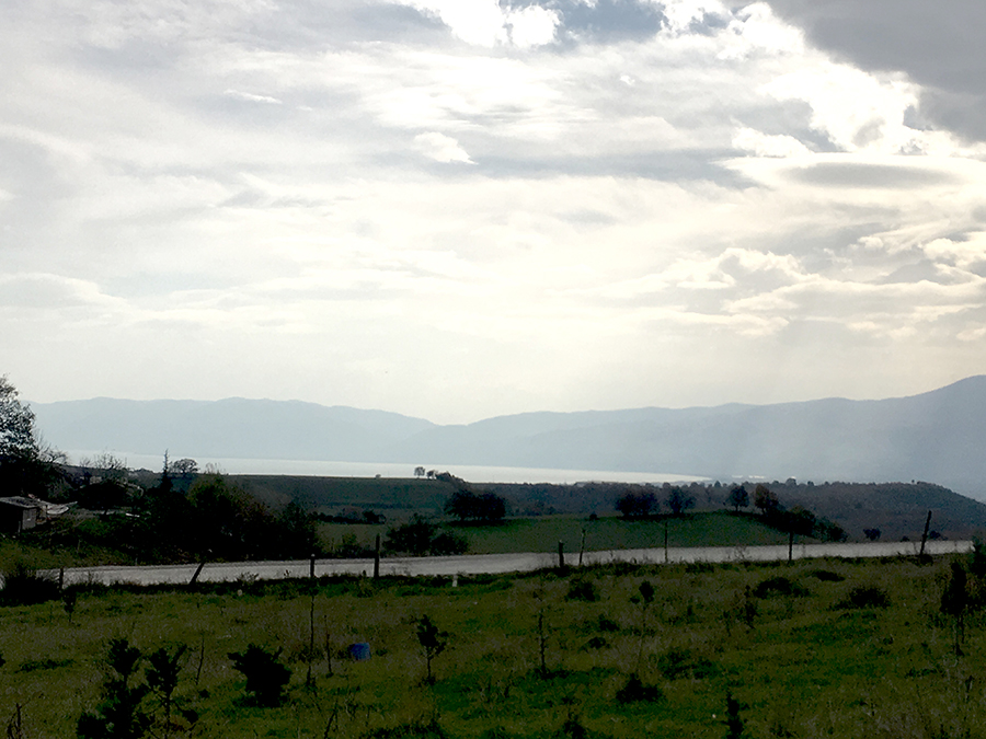 Farm land with House in Yalova/Turkey