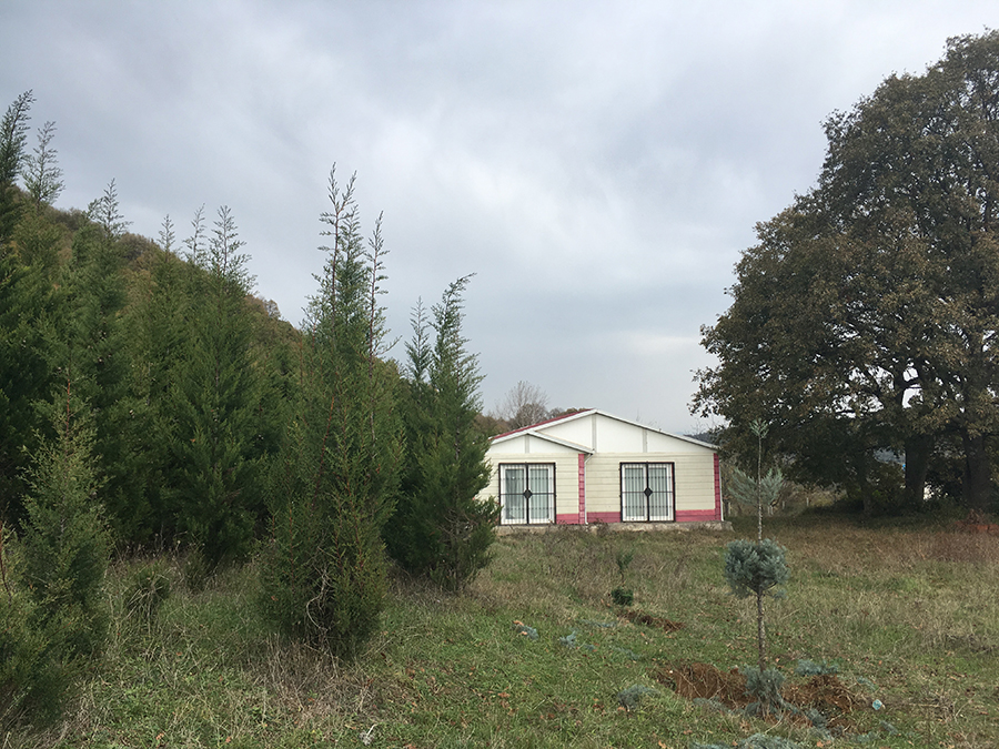 Farm land with House in Yalova/Turkey