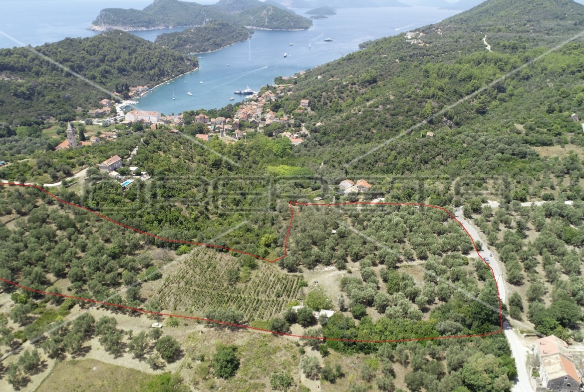 Object 100 m2 and agricultural land 23.260 m2 in Sipanska Luka, Dubrovnik, Croatia