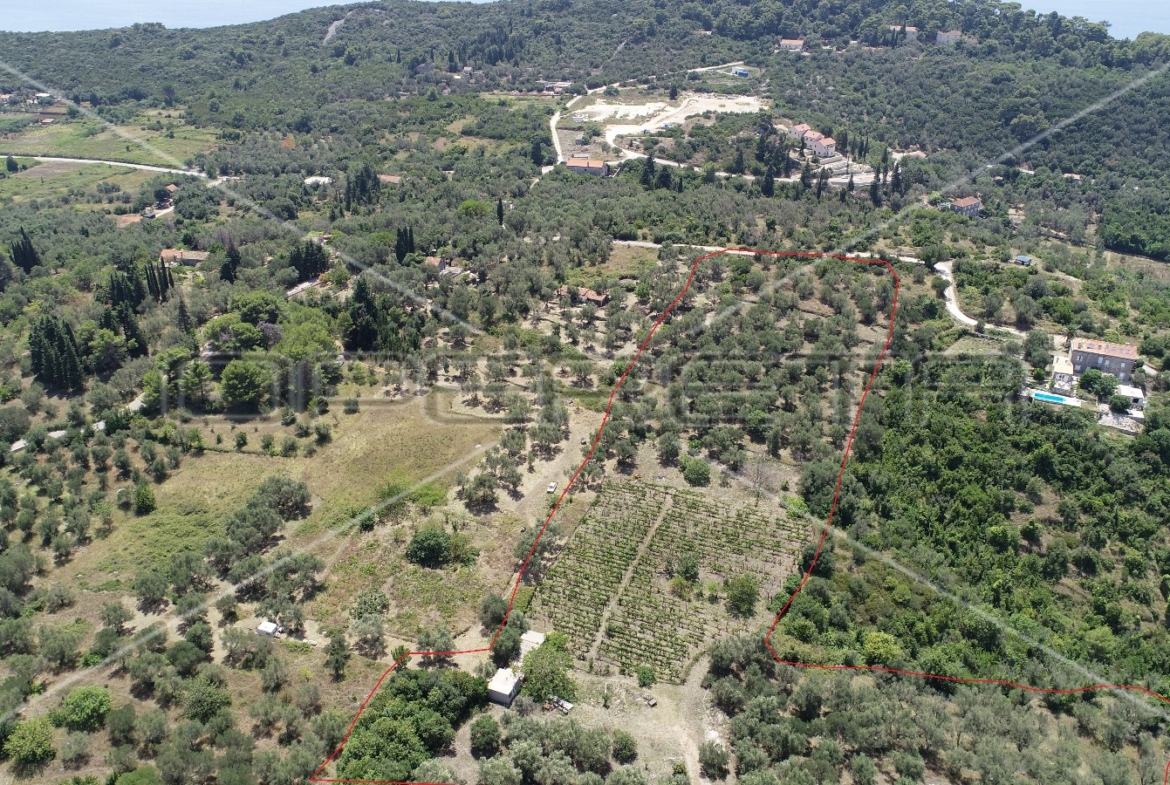 Object 100 m2 and agricultural land 23.260 m2 in Sipanska Luka, Dubrovnik, Croatia