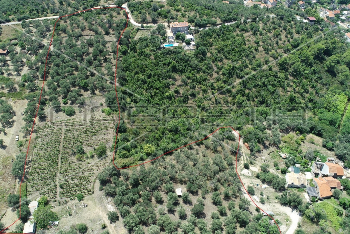 Object 100 m2 and agricultural land 23.260 m2 in Sipanska Luka, Dubrovnik, Croatia