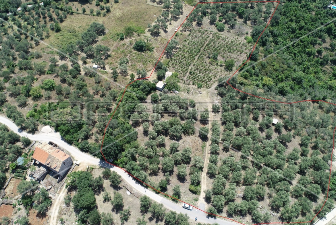 Object 100 m2 and agricultural land 23.260 m2 in Sipanska Luka, Dubrovnik, Croatia