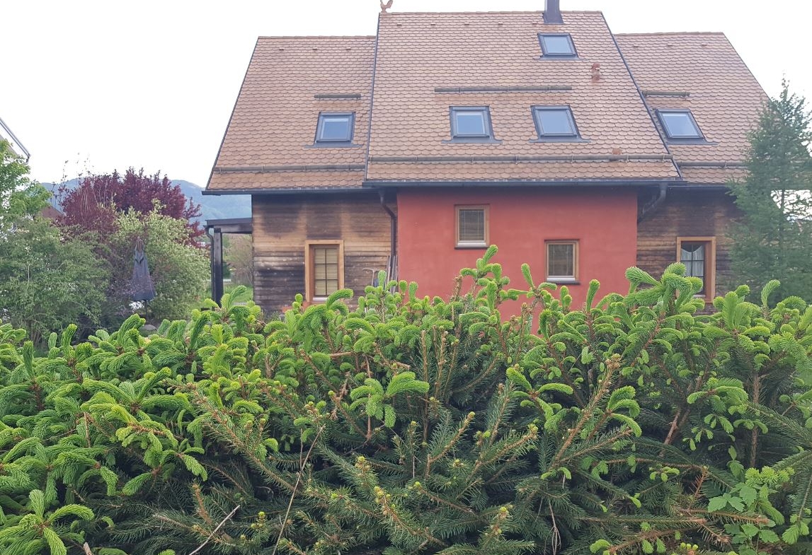 Eco-House for Sale