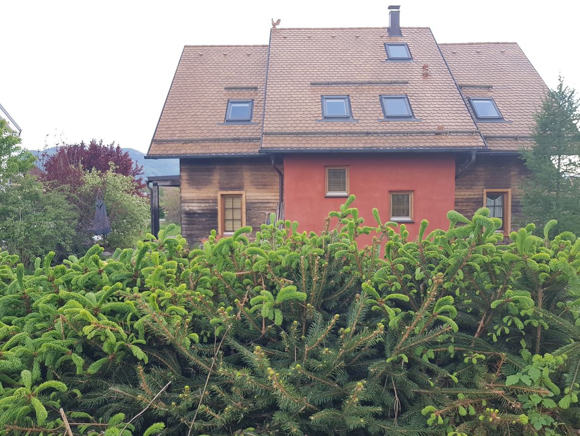 Eco-House for Sale