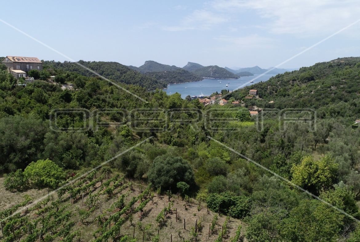 Object 100 m2 and agricultural land 23.260 m2 in Sipanska Luka, Dubrovnik, Croatia