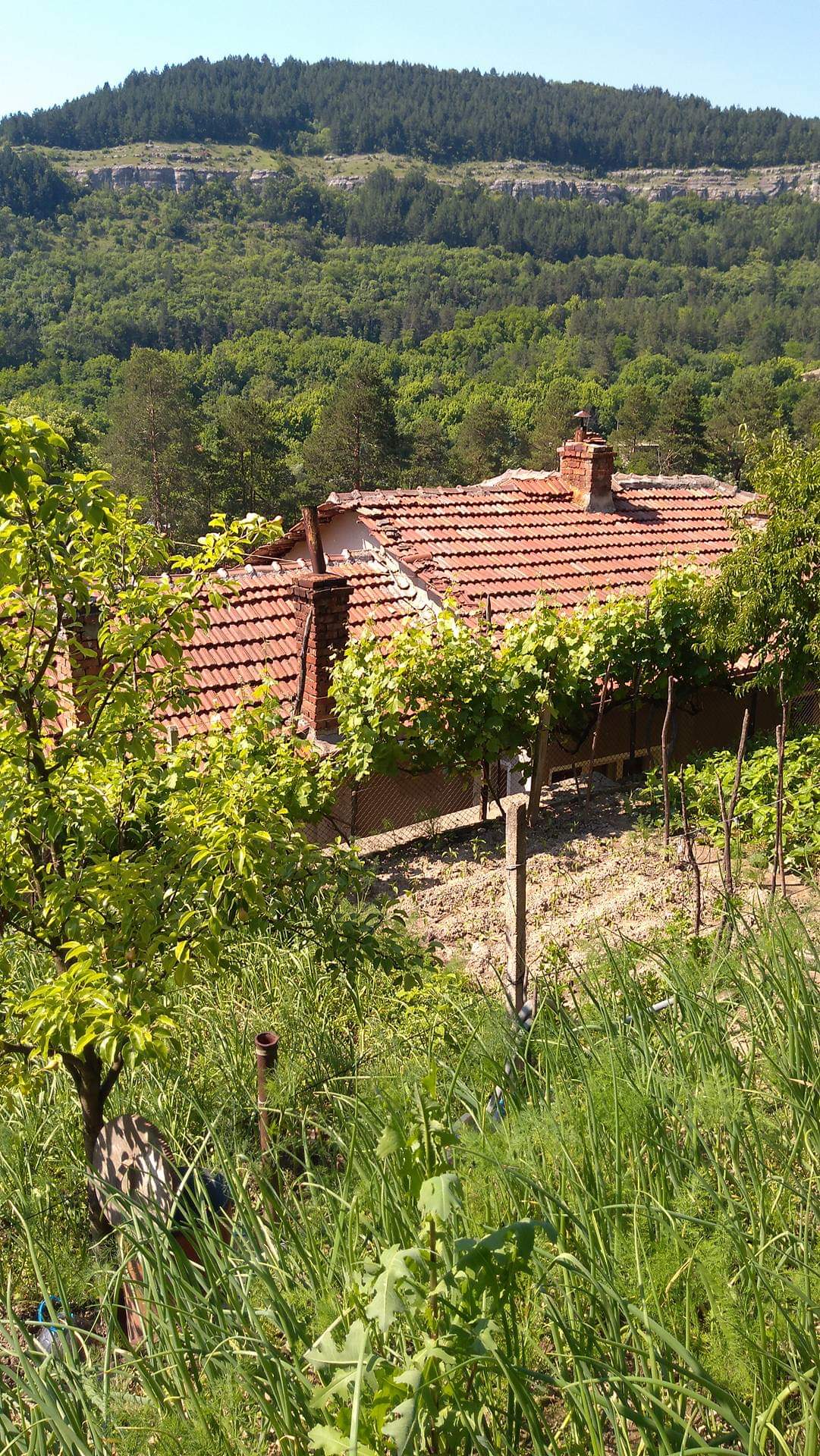 received_603606866645176 House
