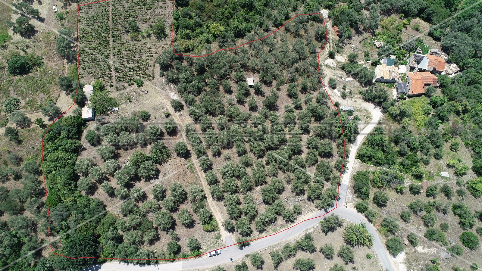 Object 100 m2 and agricultural land 23.260 m2 in Sipanska Luka, Dubrovnik, Croatia