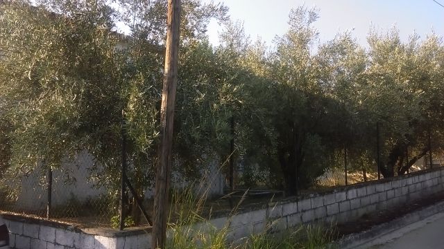 Country house in Sperchiada, Fthiotida State GREECE.