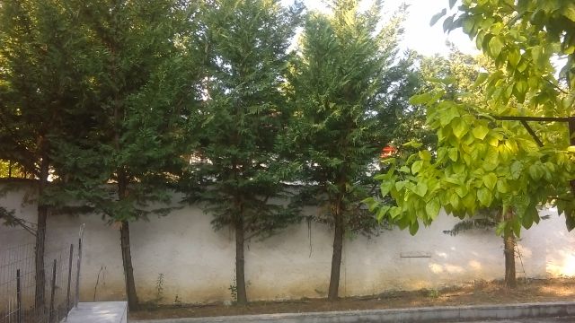 Country house in Sperchiada, Fthiotida State GREECE.